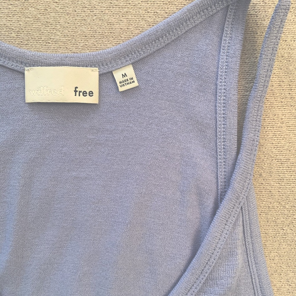 Wilfred Free Dress